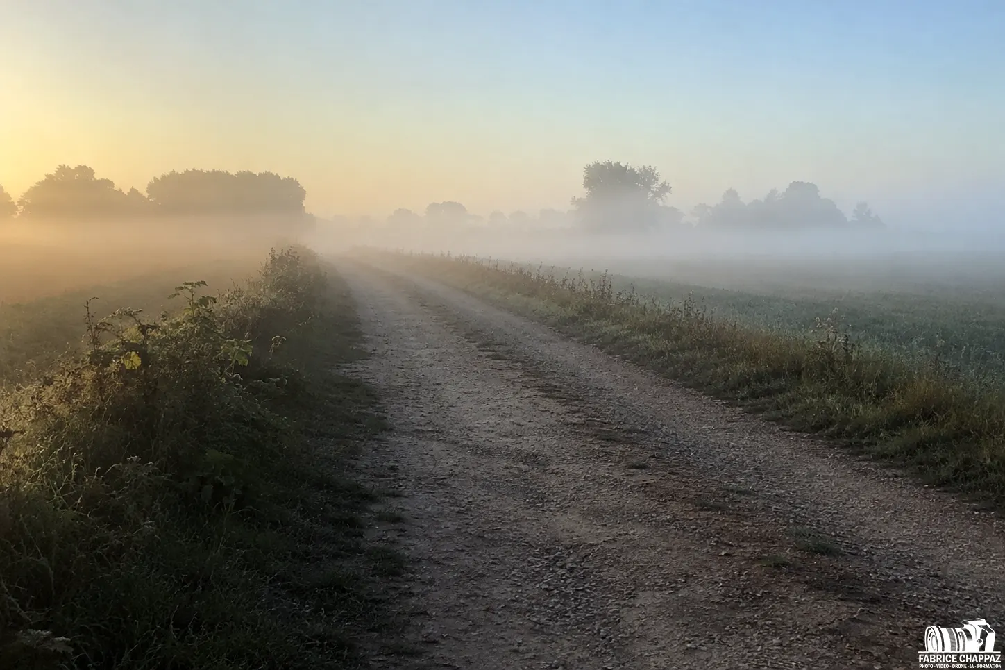 Brume matinale