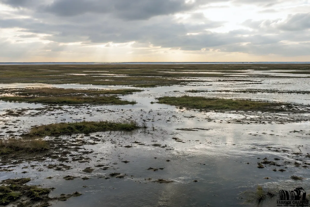 Marais breton