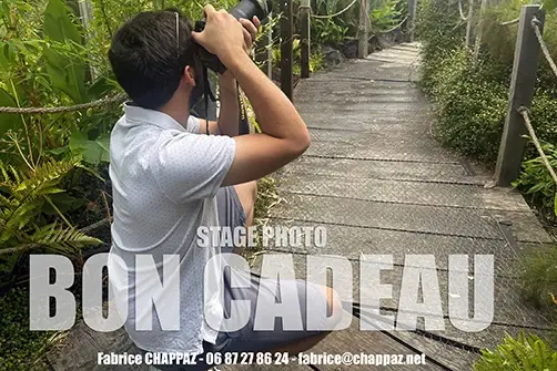 Stage photo en Vendée, offert sous forme de bon cadeau d'Anniversaire