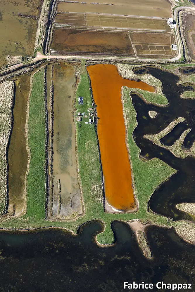 Stage initiation drone en Vendée – prise de vue aérienne à La Roche-sur-Yon
